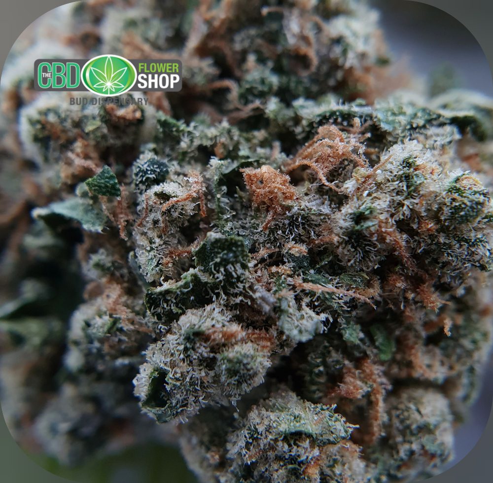 OG Kush CBD Flower | Premium Indica CBD | CBD Flower Shop